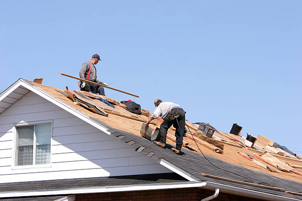 Best Metal Roofing Installation  in Kewanee, IL